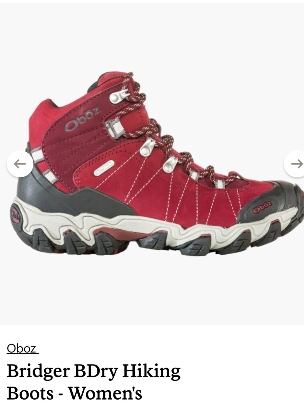 Oboz Genuine Suede “Bridger” Waterproof Hiker